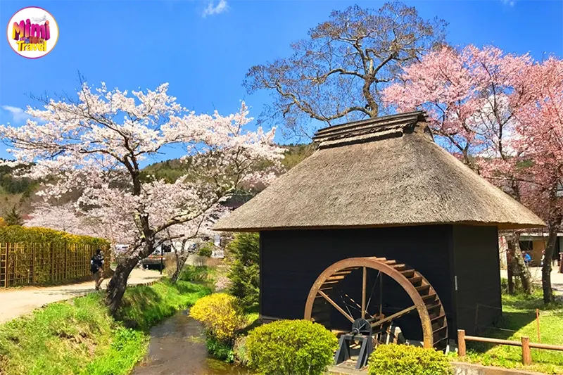 Làng cổ Oshino Hakkai – Ngôi làng thanh bình của nước Nhật